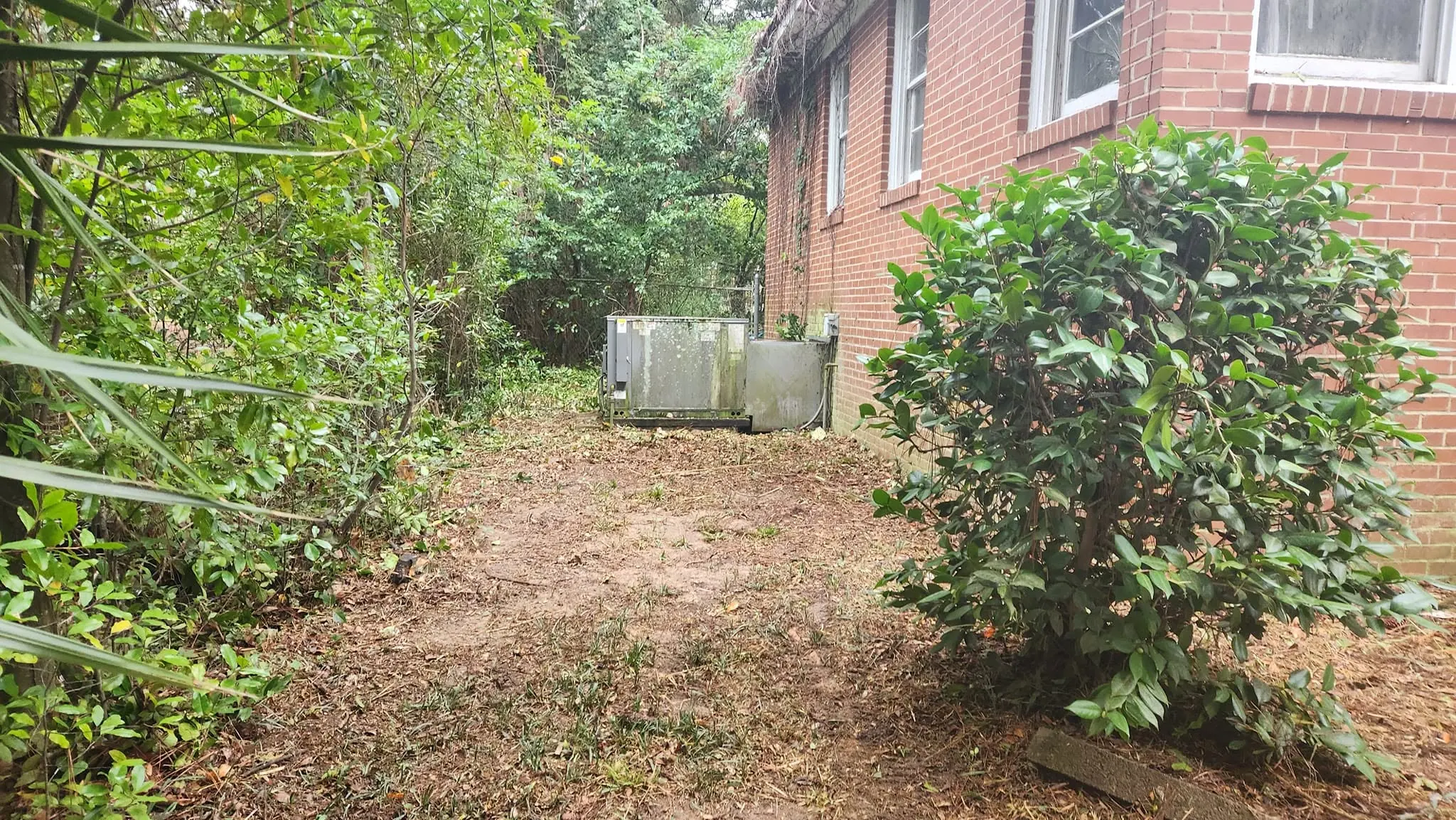 LPZ Pro lawn care and landscaping work in the Albany area