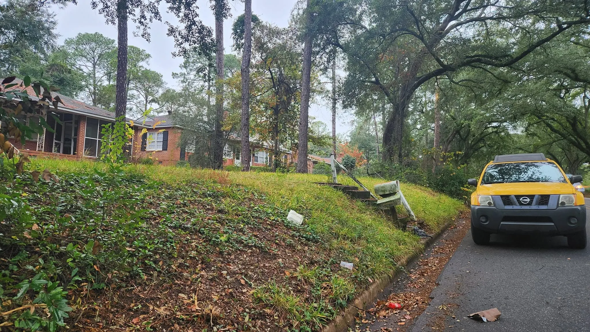 LPZ Pro lawn care and landscaping work in the Albany area