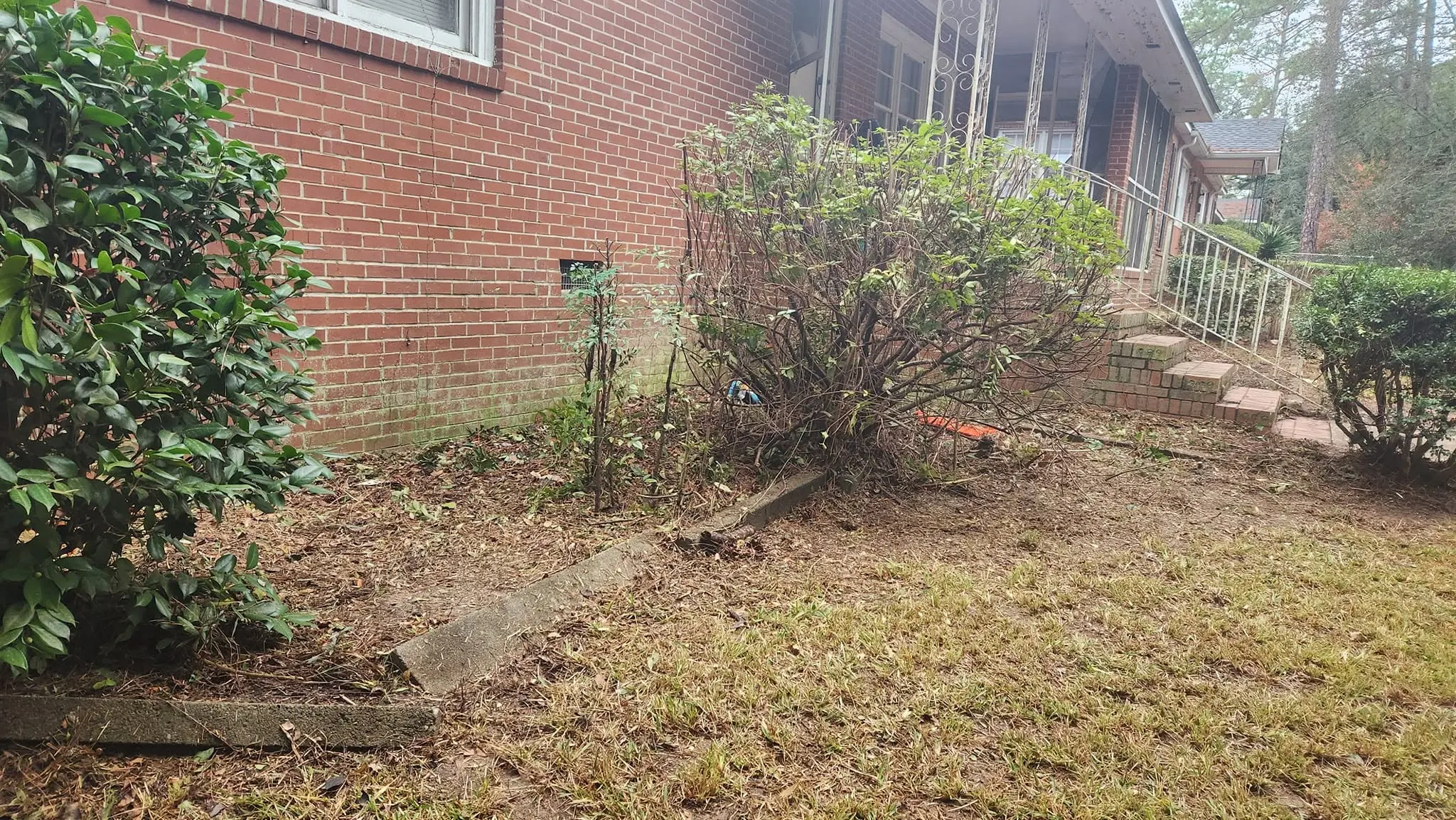 LPZ Pro lawn care and landscaping work in the Albany area