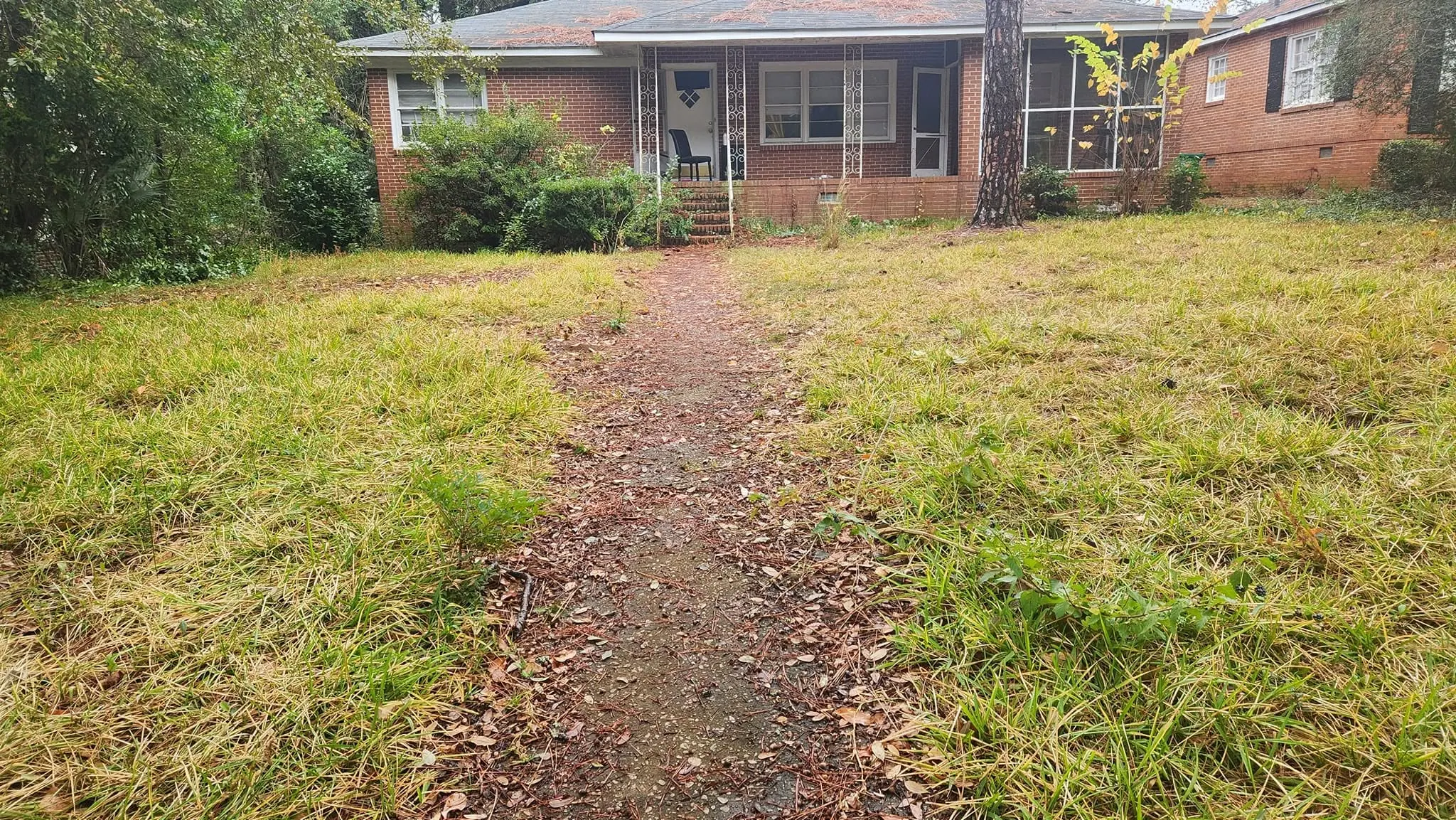 LPZ Pro lawn care and landscaping work in the Albany area