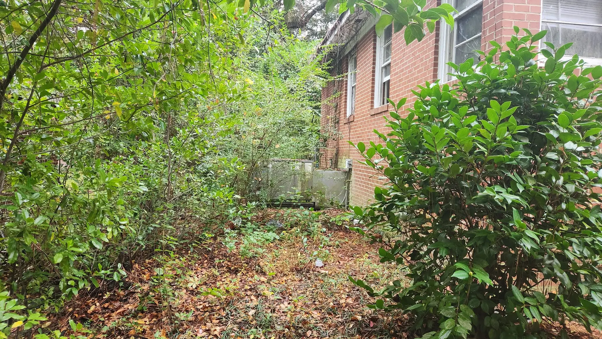 LPZ Pro lawn care and landscaping work in the Albany area