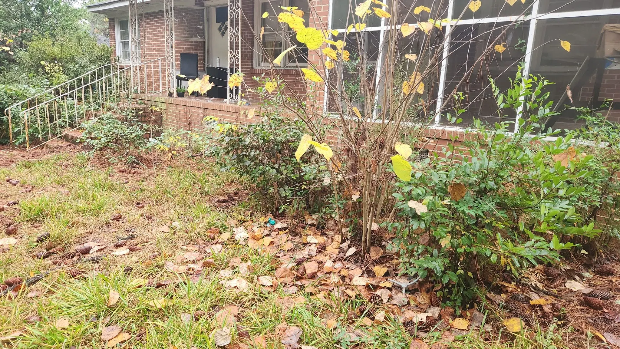 LPZ Pro lawn care and landscaping work in the Albany area