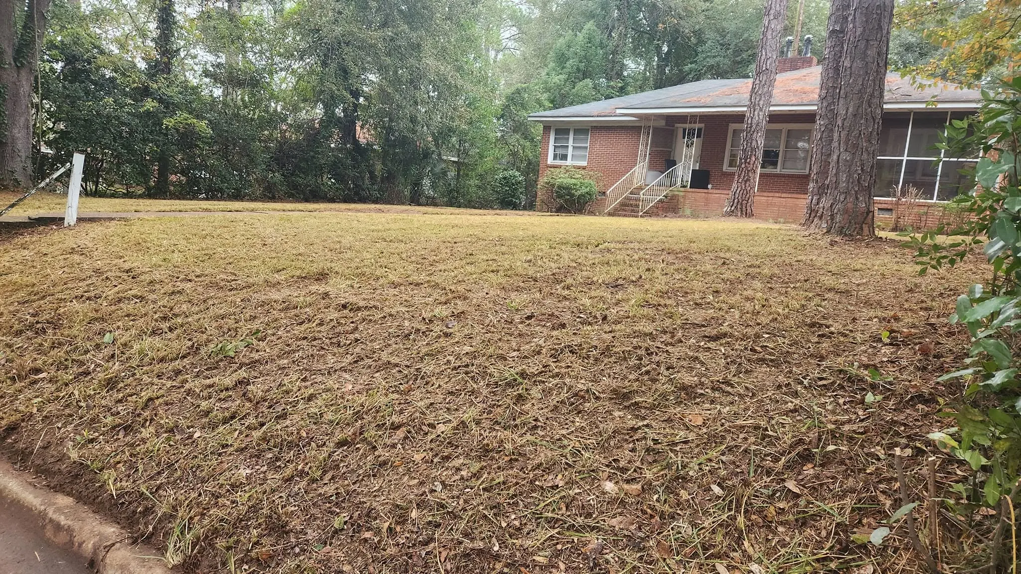 LPZ Pro lawn care and landscaping work in the Albany area
