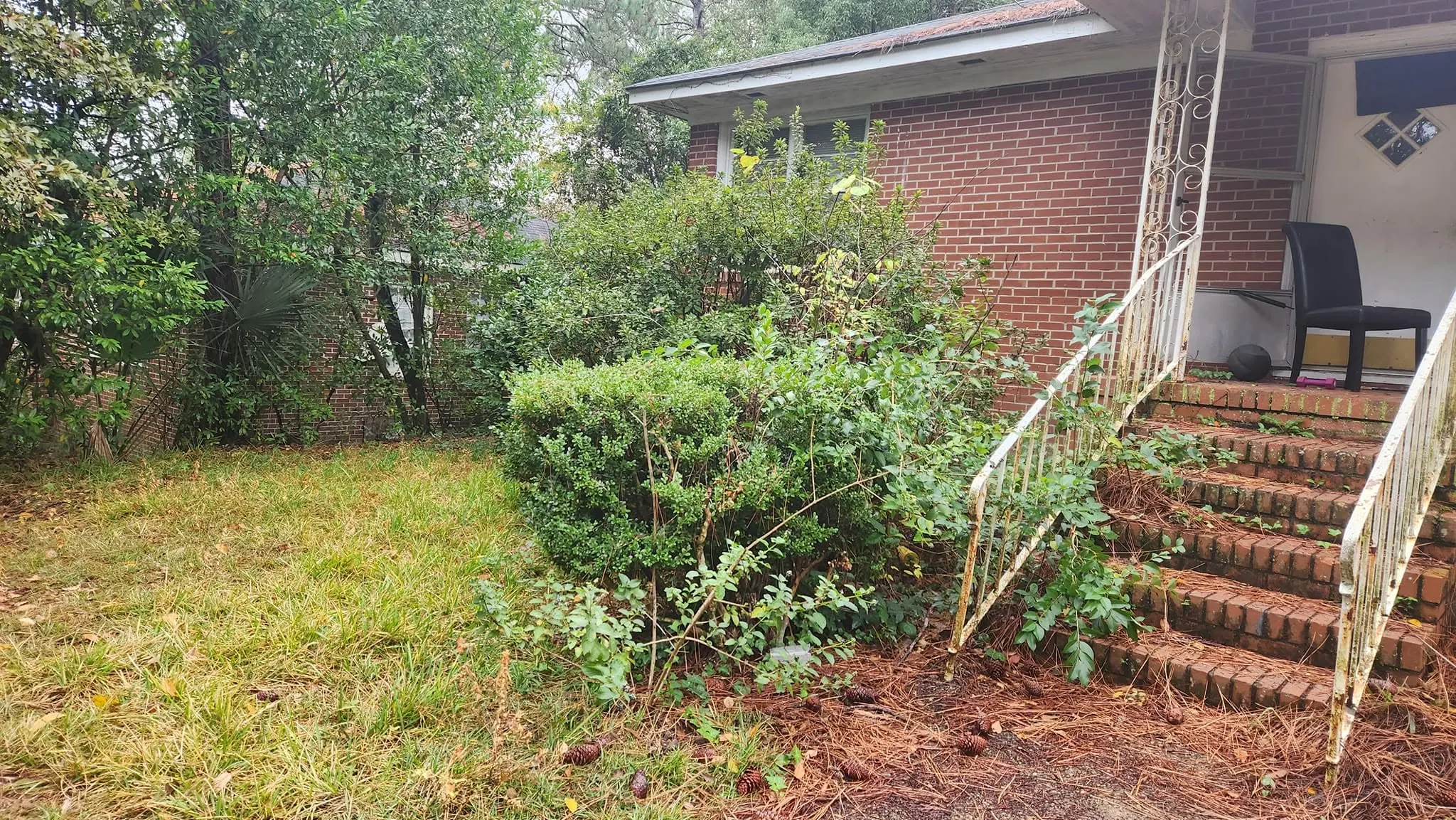LPZ Pro lawn care and landscaping work in the Albany area
