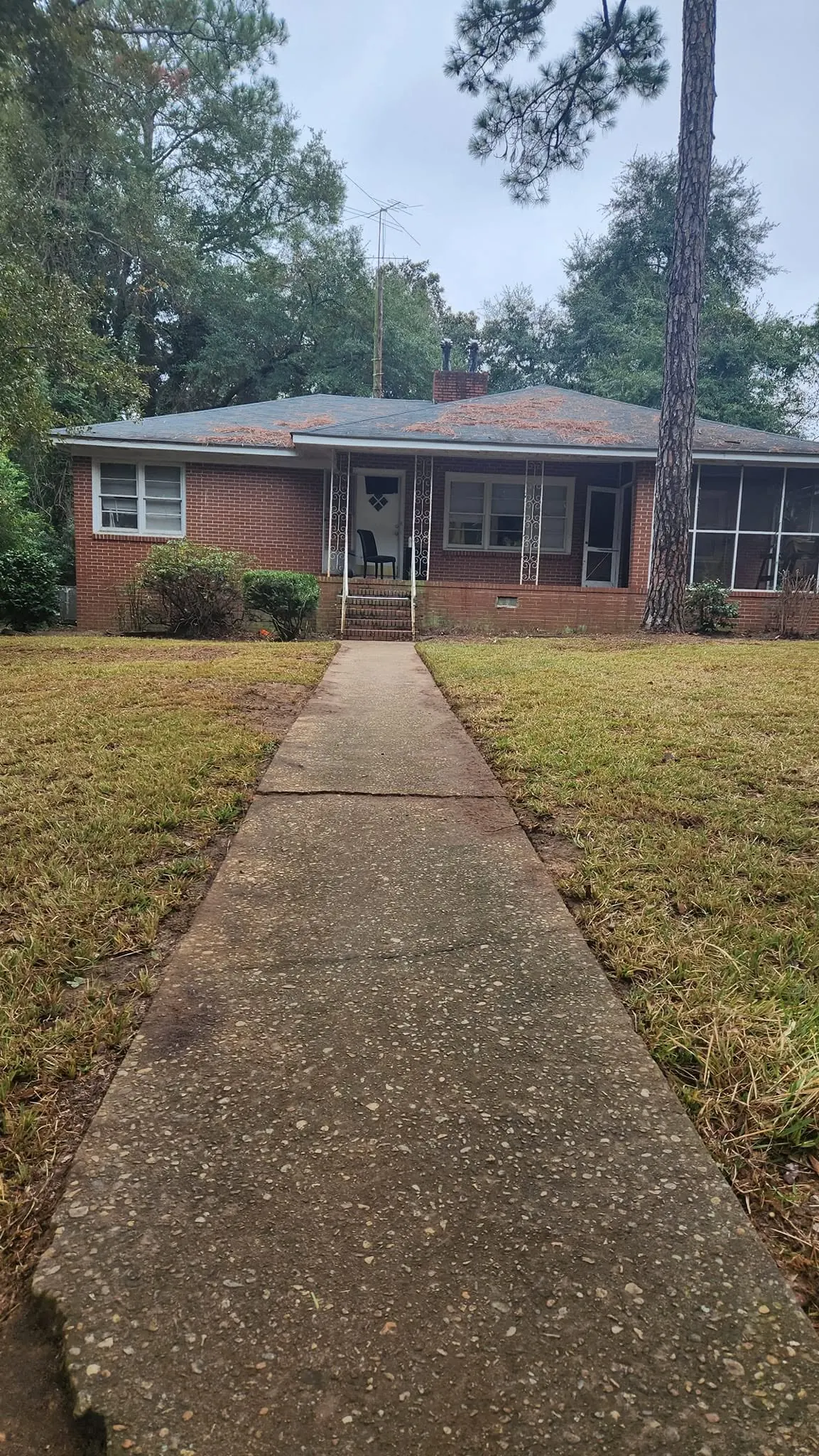 LPZ Pro lawn care and landscaping work in the Albany area