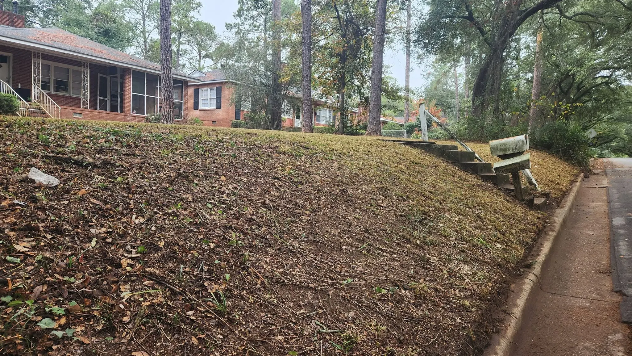 LPZ Pro lawn care and landscaping work in the Albany area
