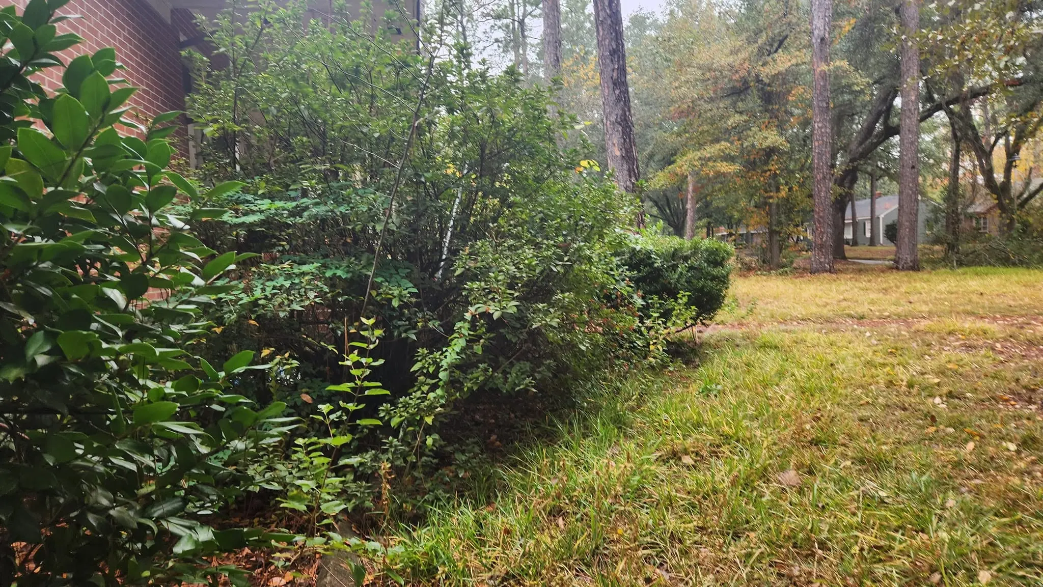 LPZ Pro lawn care and landscaping work in the Albany area