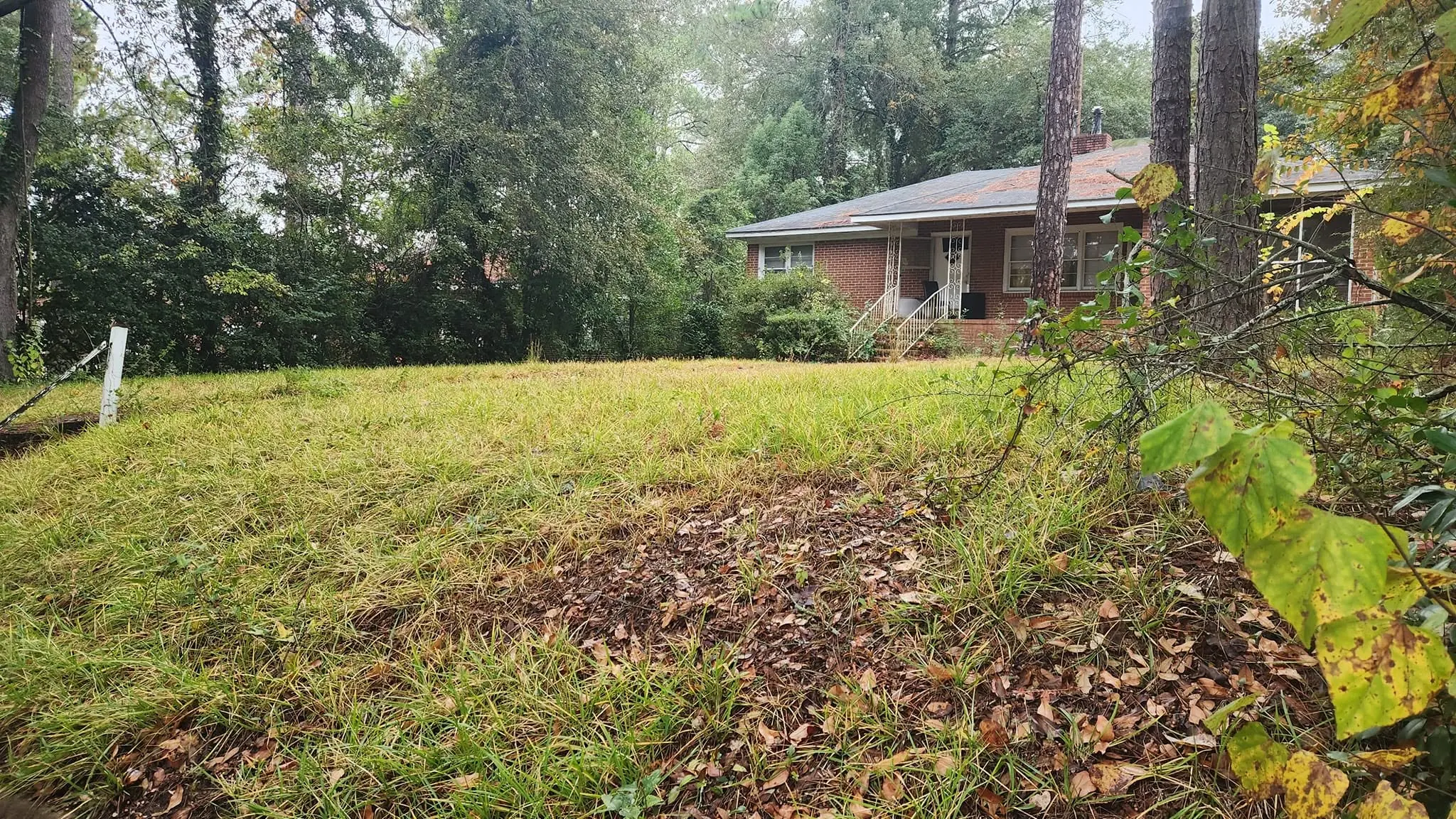 LPZ Pro lawn care and landscaping work in the Albany area