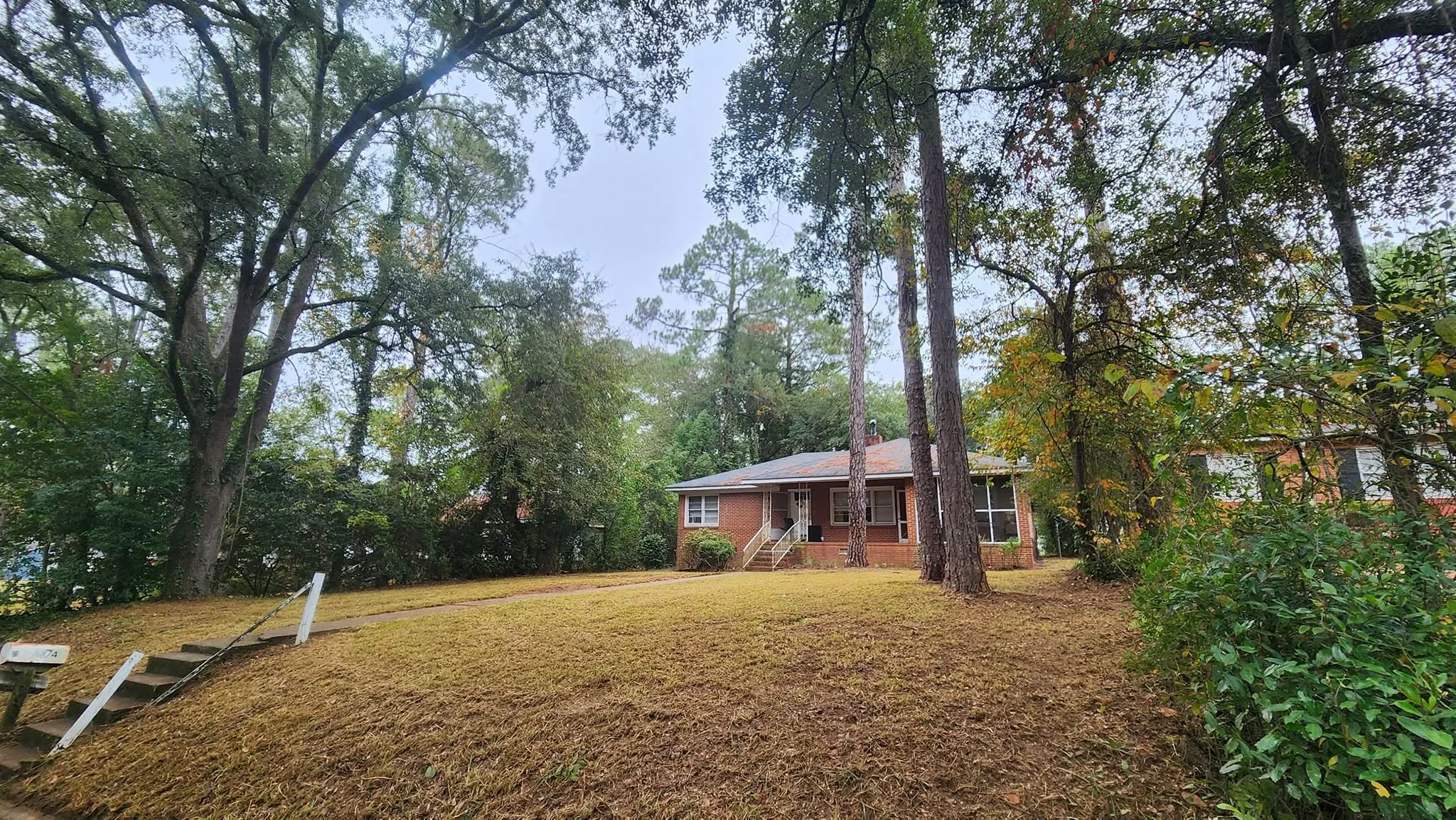 LPZ Pro lawn care and landscaping work in the Albany area