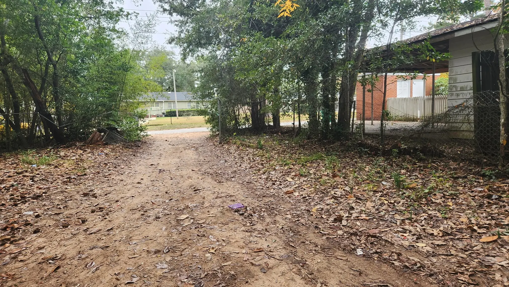 LPZ Pro lawn care and landscaping work in the Albany area