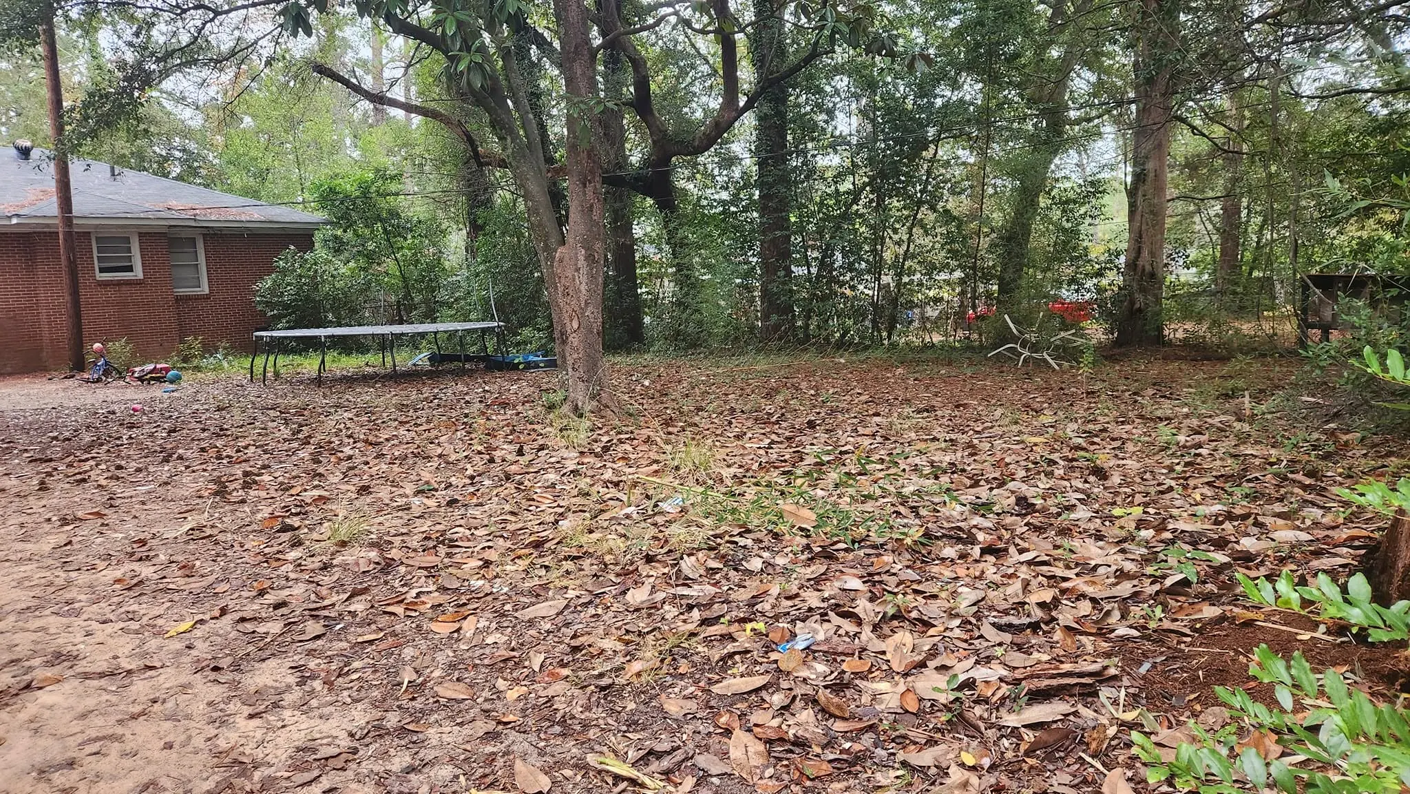 LPZ Pro lawn care and landscaping work in the Albany area