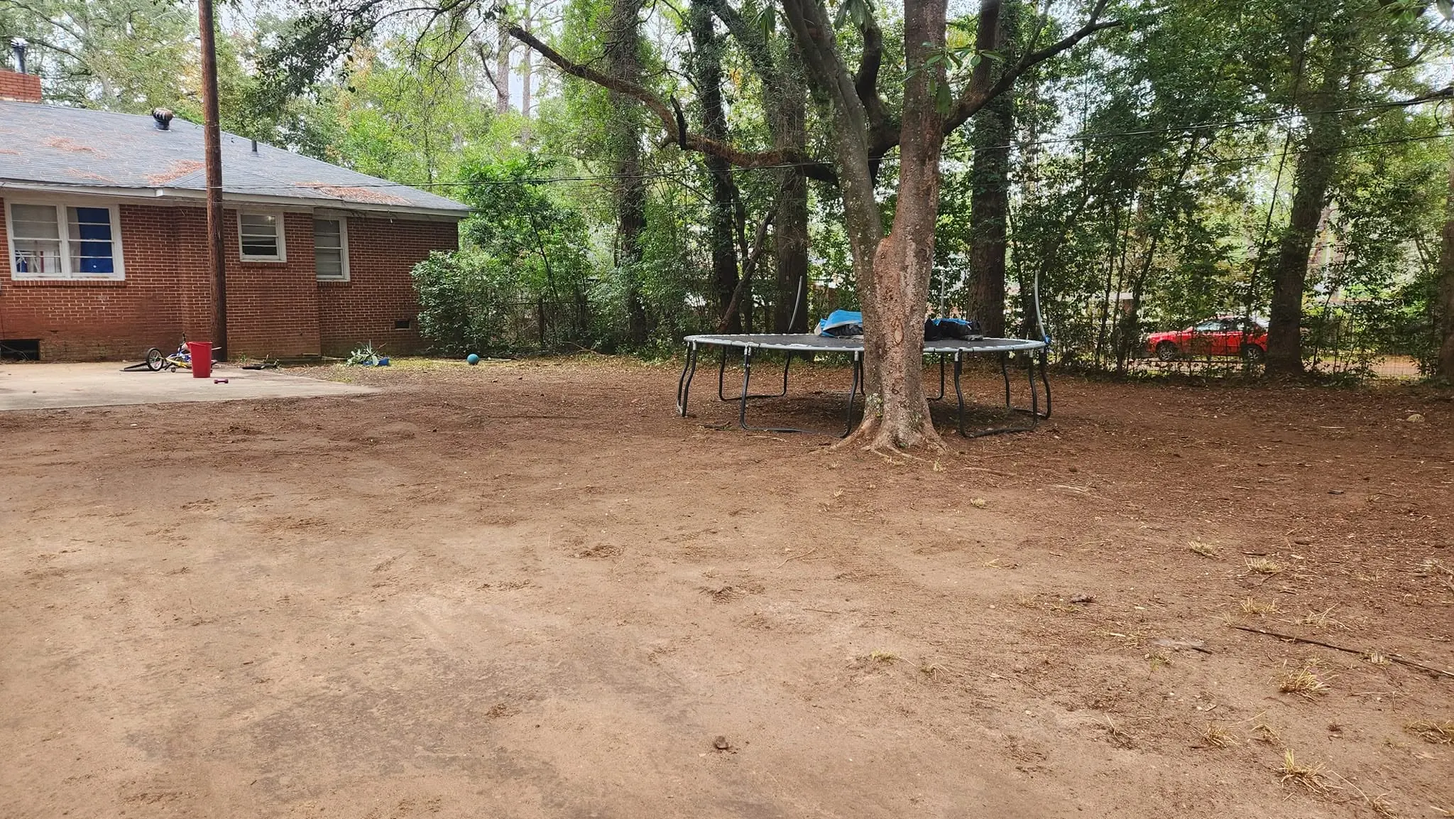 LPZ Pro lawn care and landscaping work in the Albany area