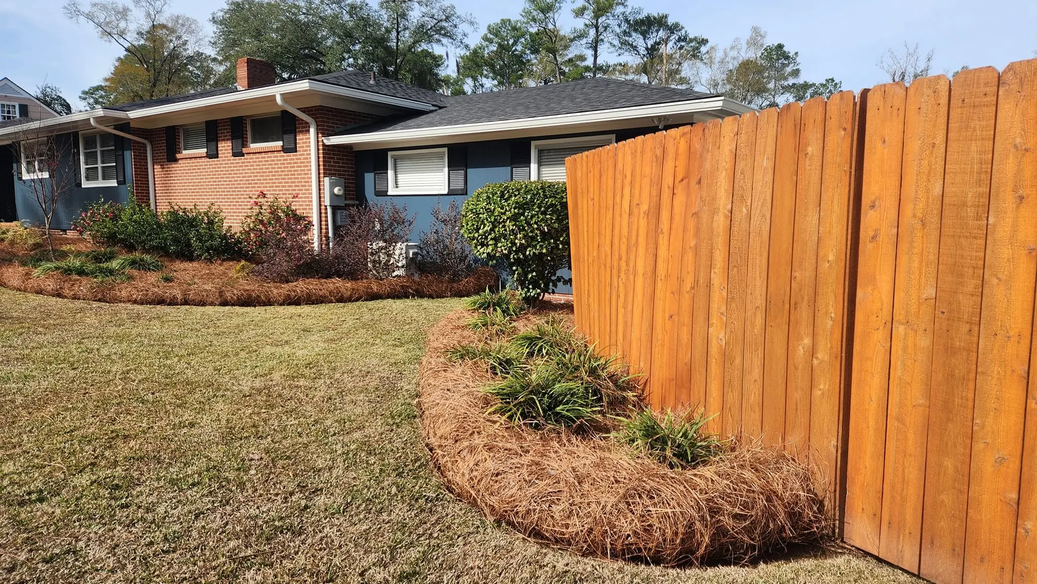 Completed yard care near Albany, Georgia