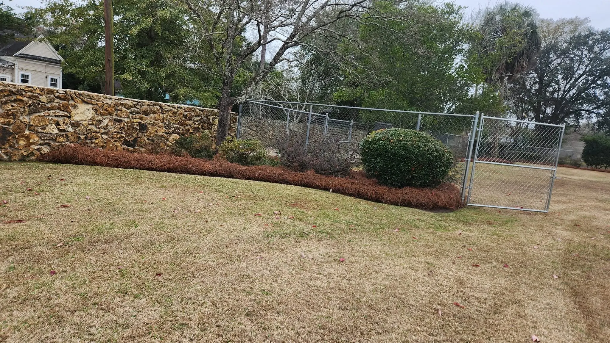 LPZ Pro lawn care and landscaping work in the Albany area