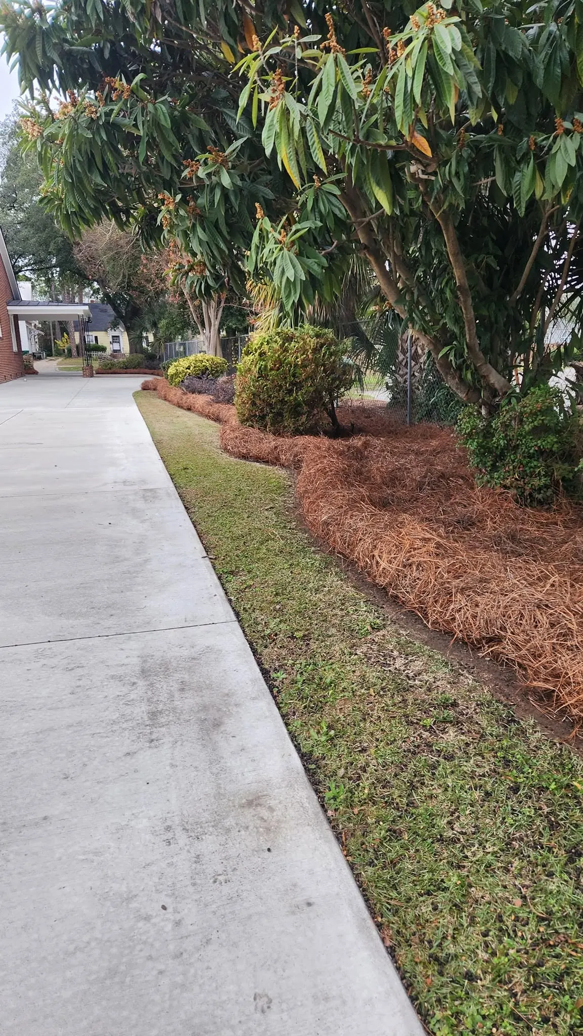LPZ Pro lawn care and landscaping work in the Albany area
