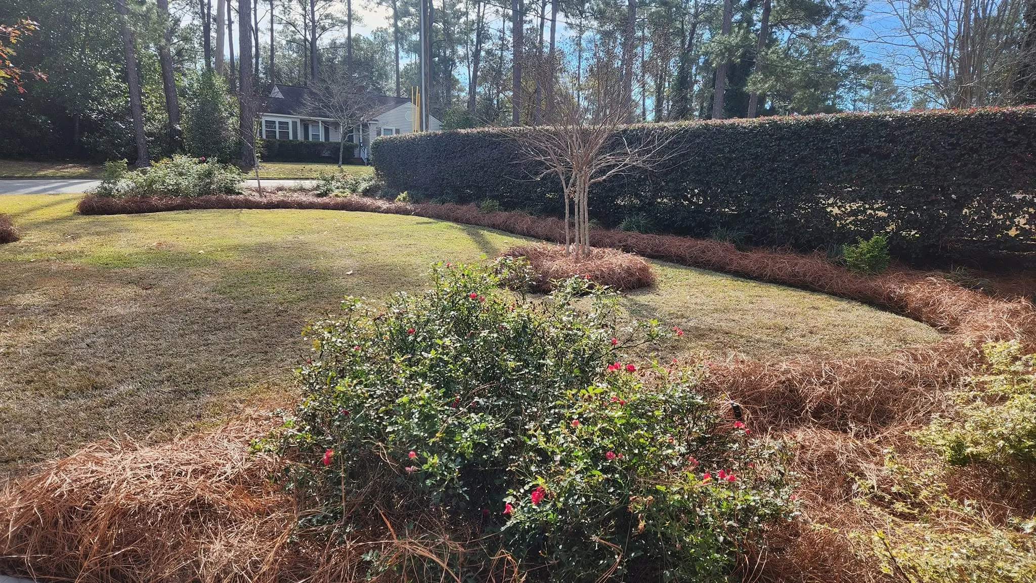 LPZ Pro lawn care and landscaping work in the Albany area