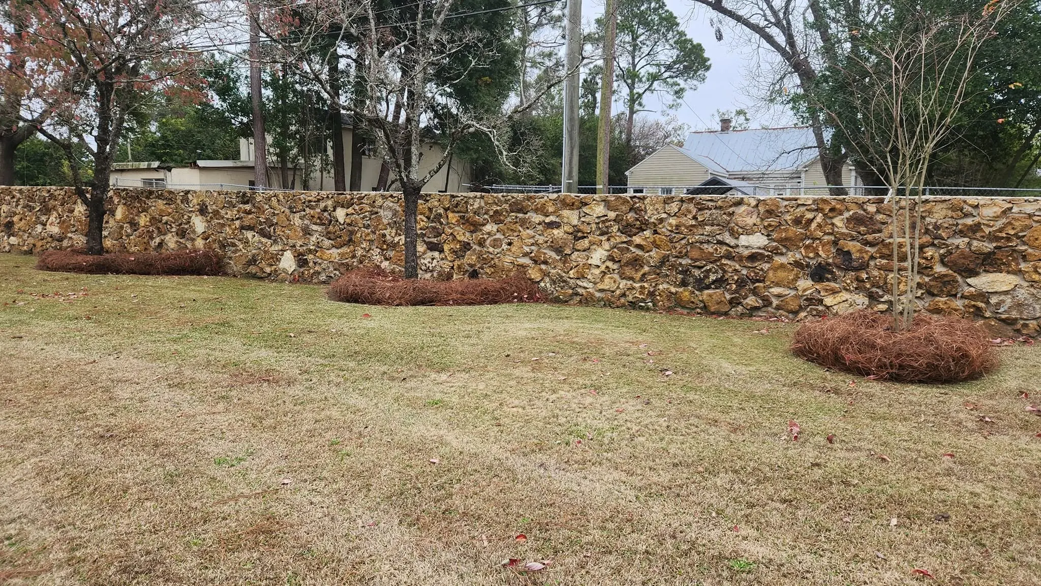 Completed lawn and landscape care at an Albany-area property