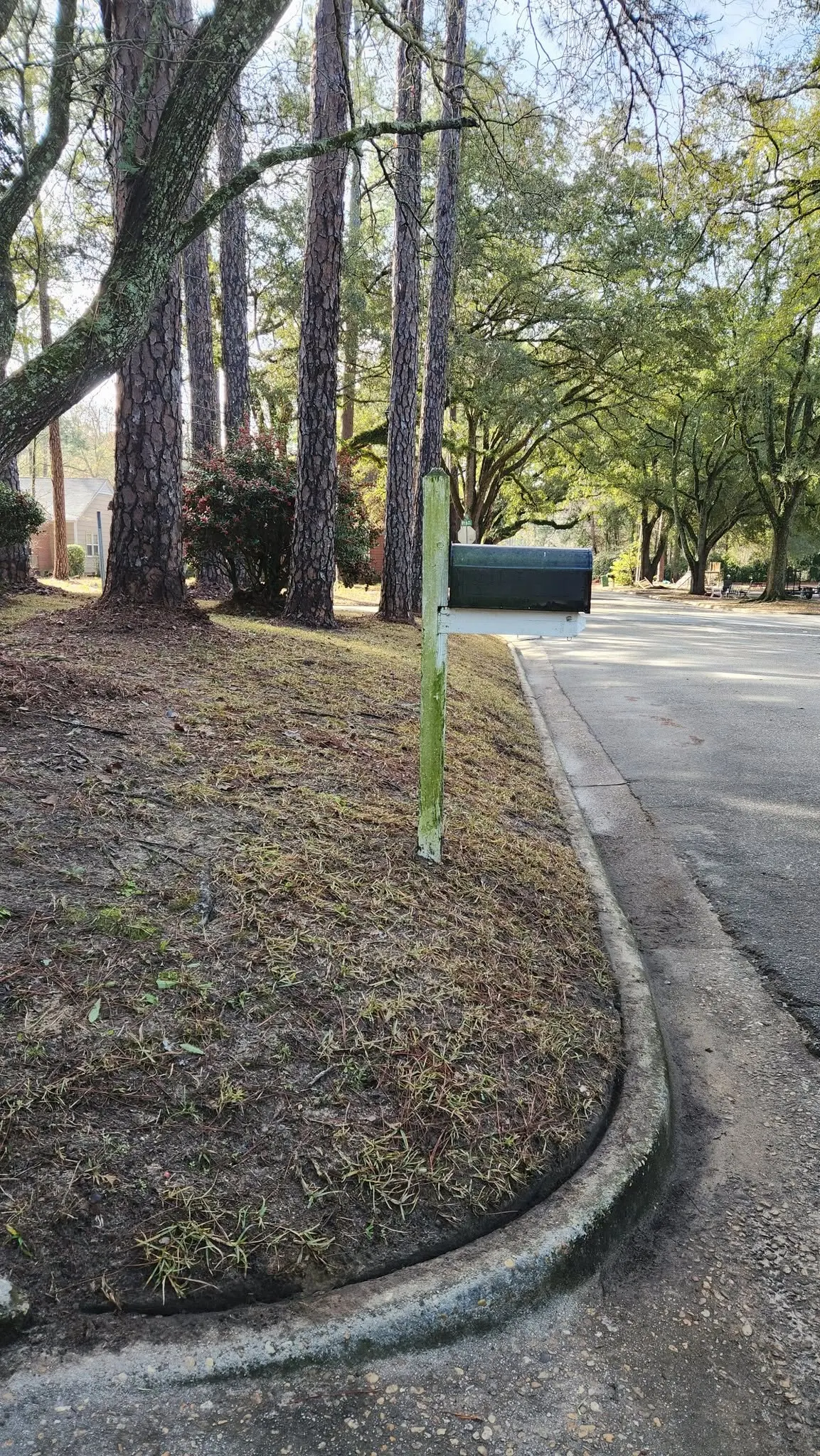 LPZ Pro lawn care and landscaping work in the Albany area