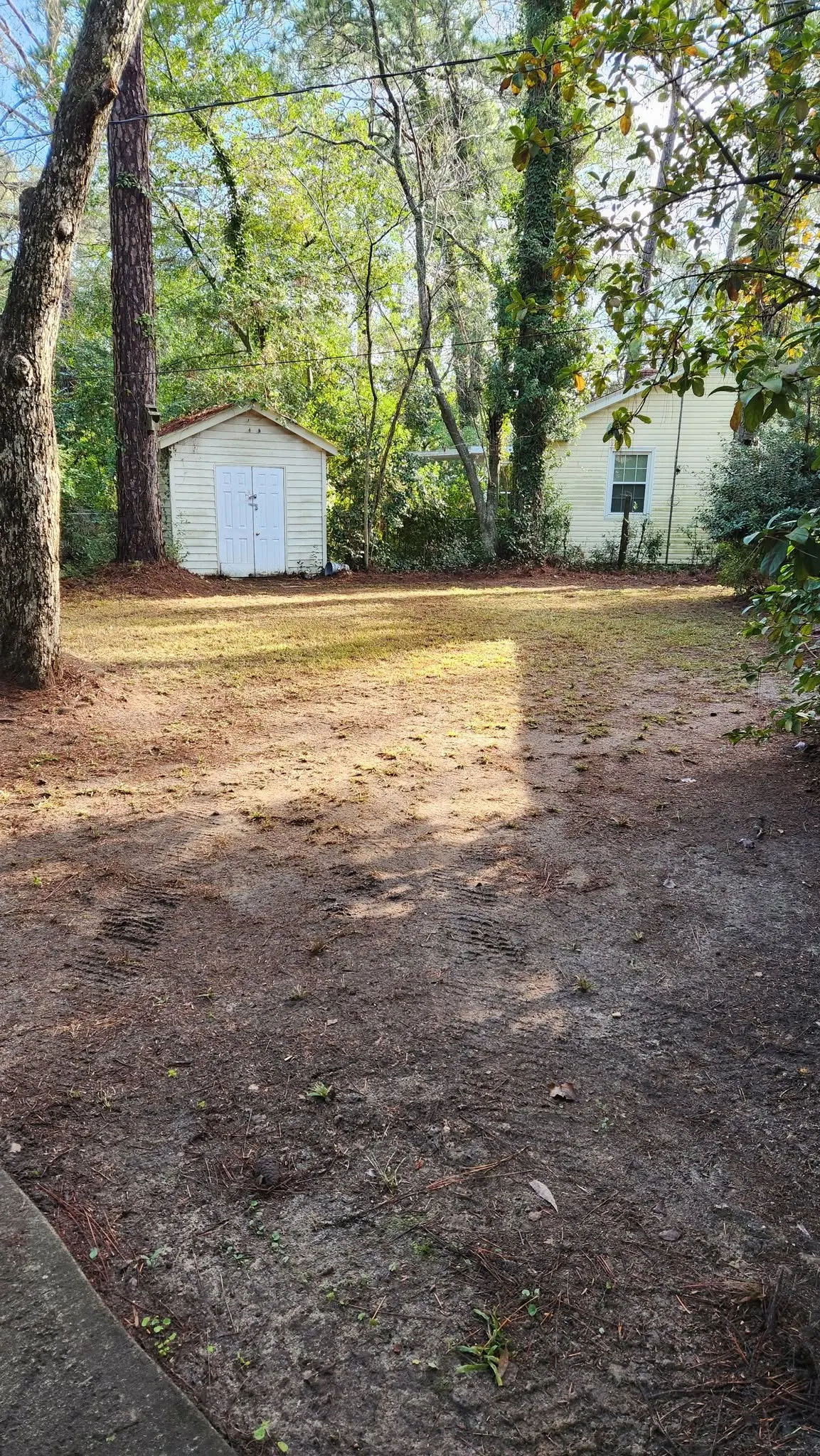 LPZ Pro lawn care and landscaping work in the Albany area