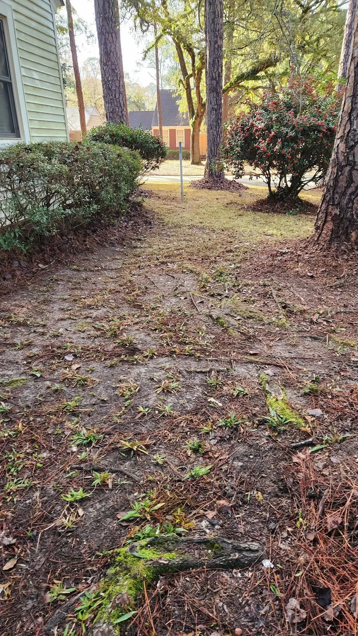 LPZ Pro lawn care and landscaping work in the Albany area