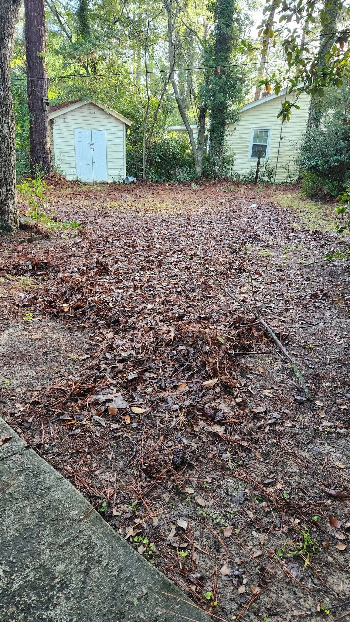 LPZ Pro lawn care and landscaping work in the Albany area