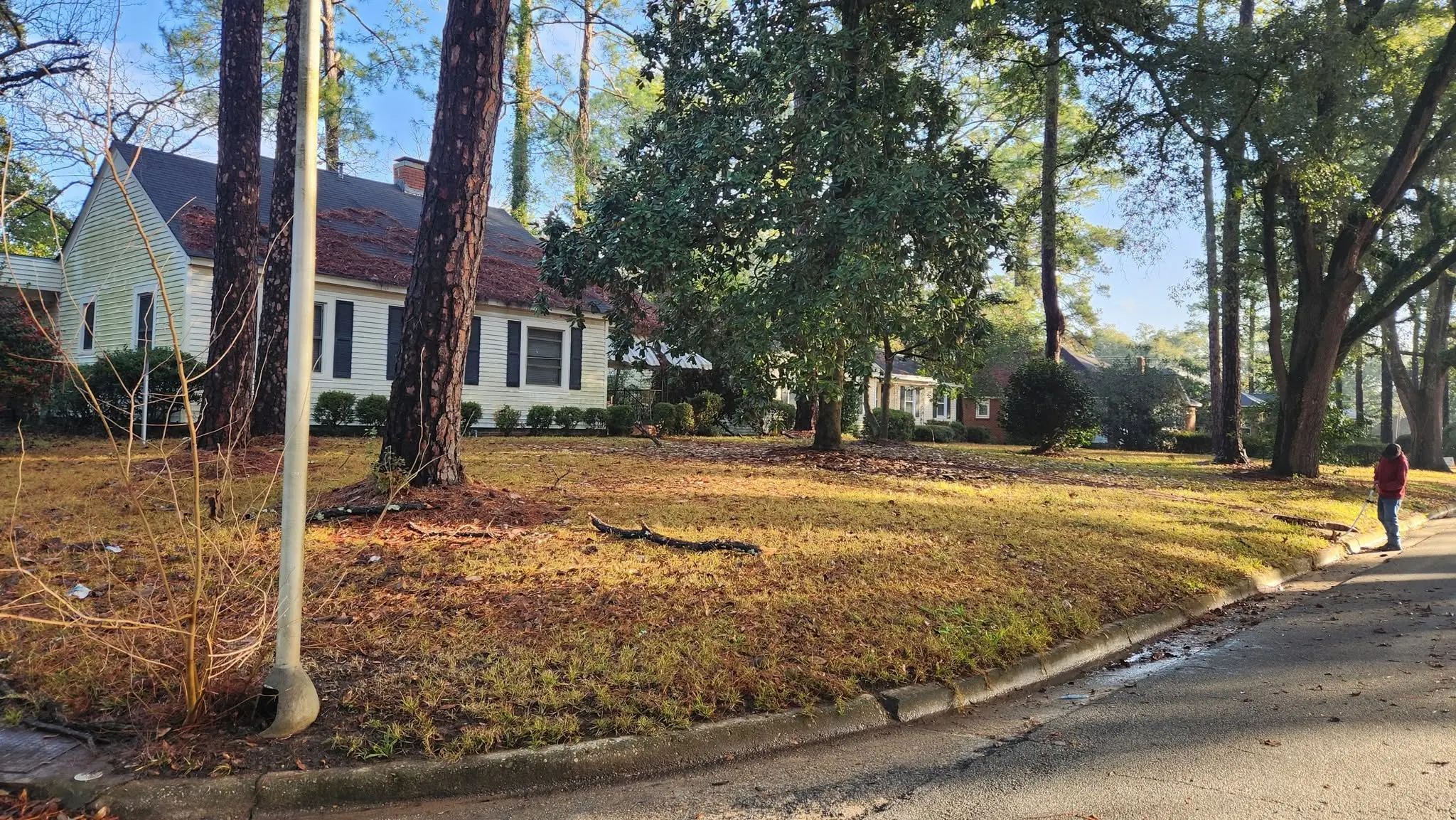 LPZ Pro lawn care and landscaping work in the Albany area