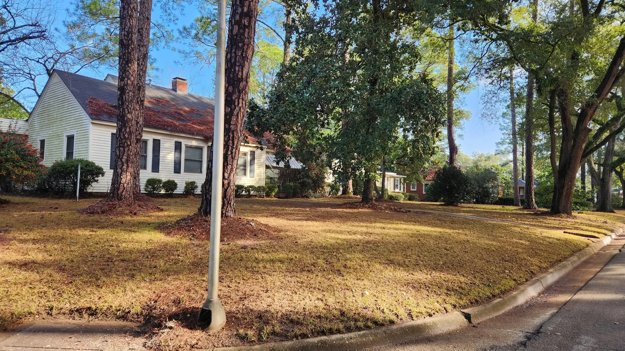 LPZ Pro lawn care and landscaping work in the Albany area
