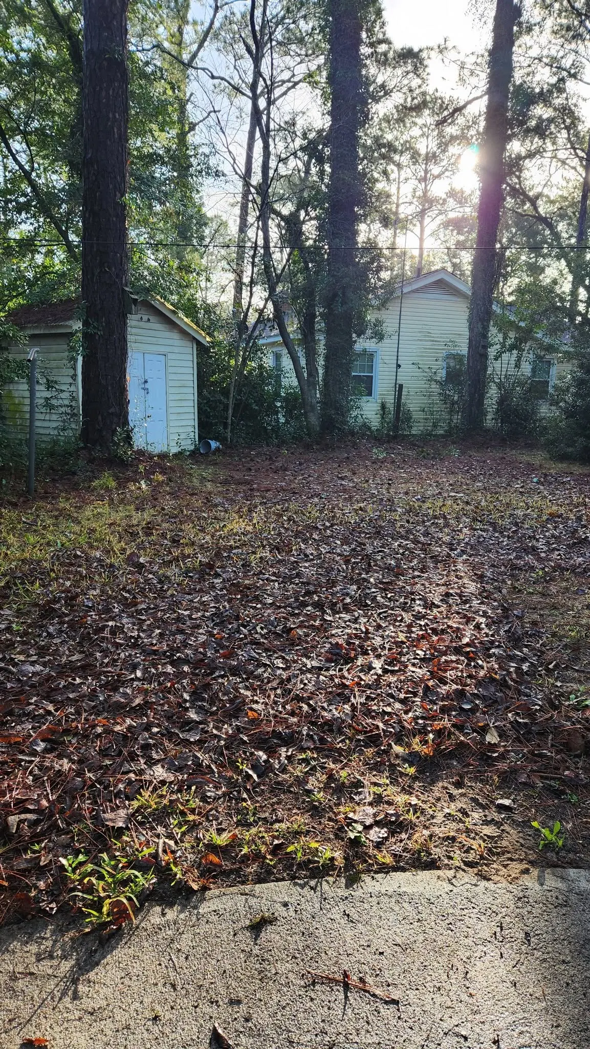 LPZ Pro lawn care and landscaping work in the Albany area