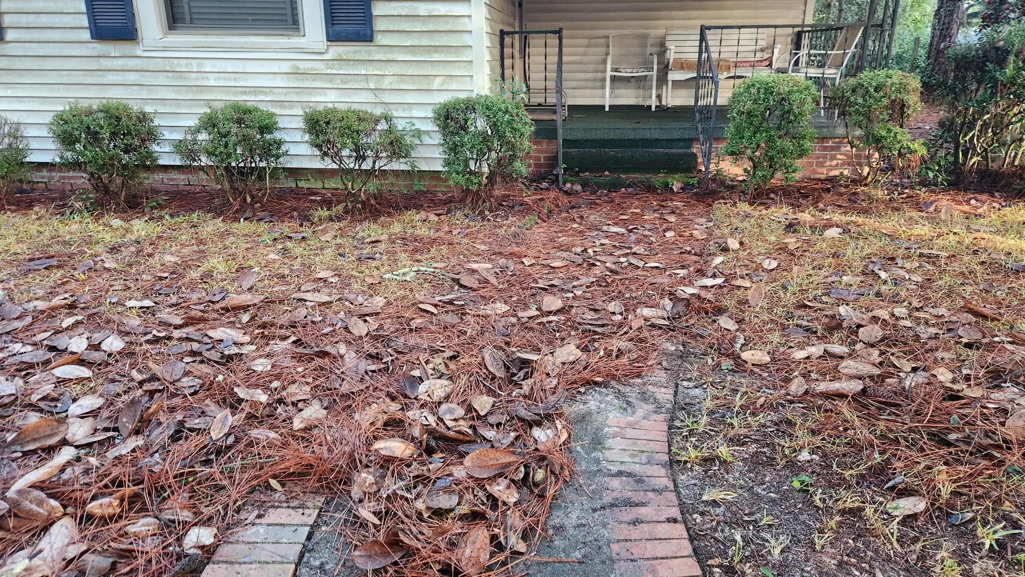 LPZ Pro lawn care and landscaping work in the Albany area