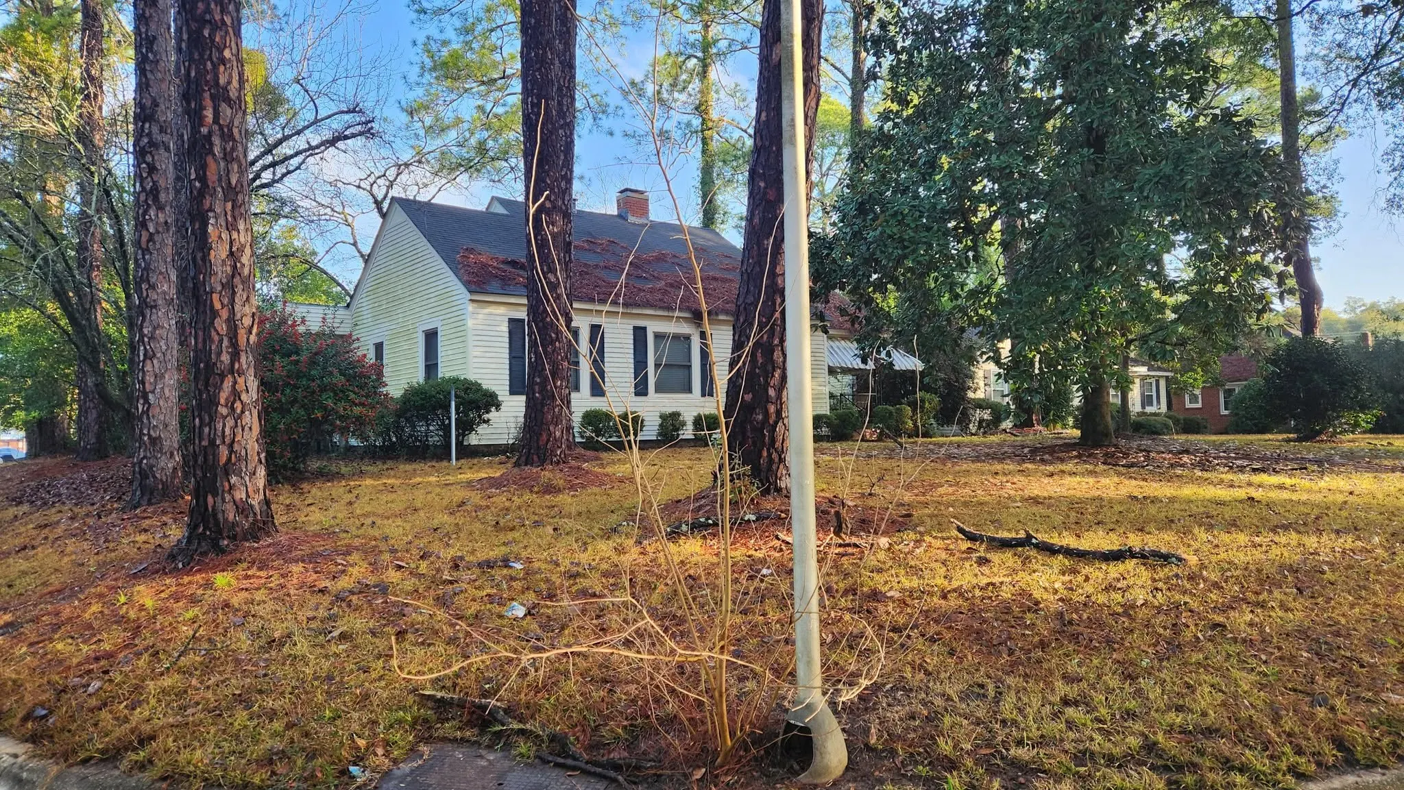 LPZ Pro lawn care and landscaping work in the Albany area