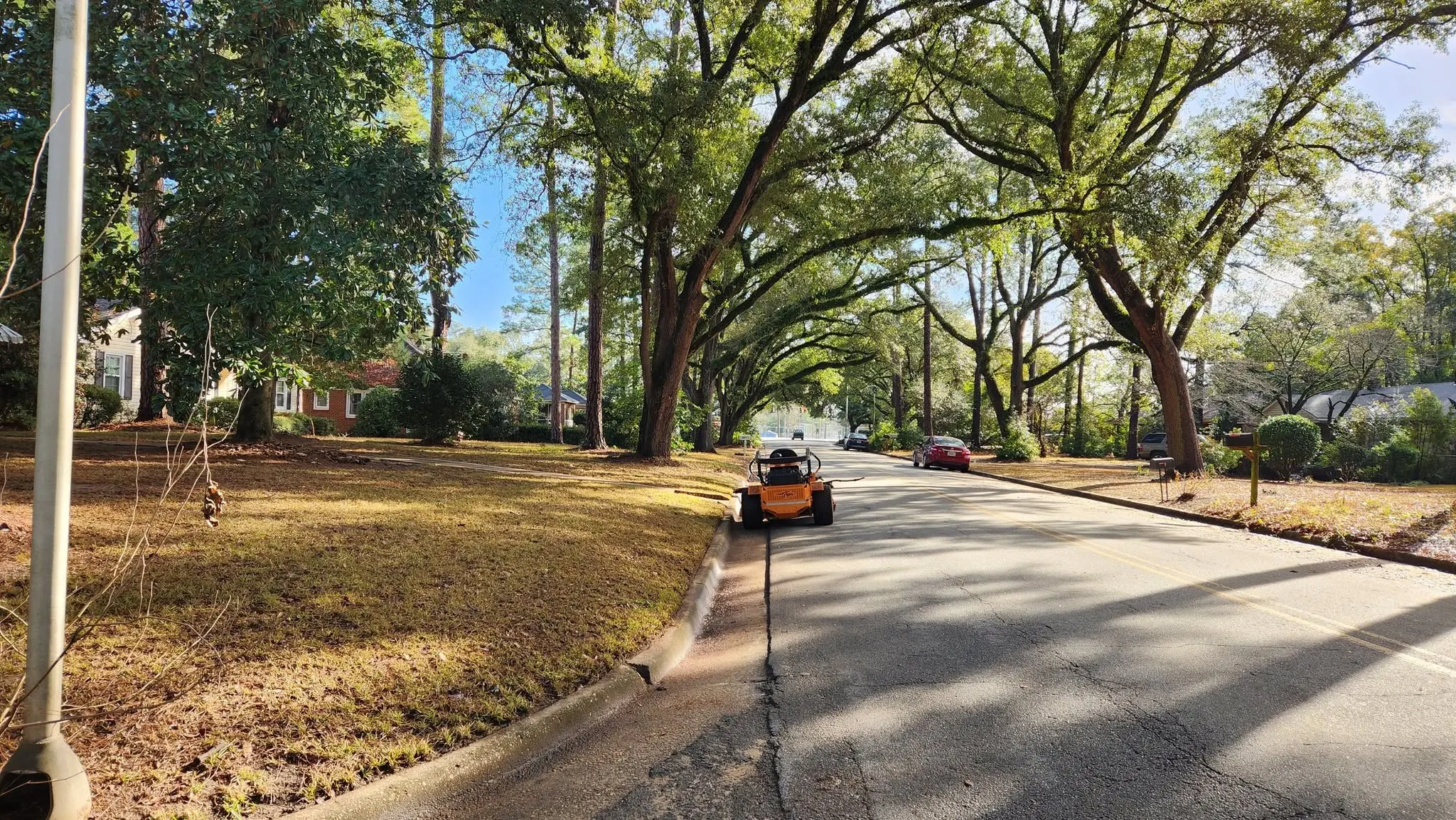 LPZ Pro lawn care and landscaping work in the Albany area
