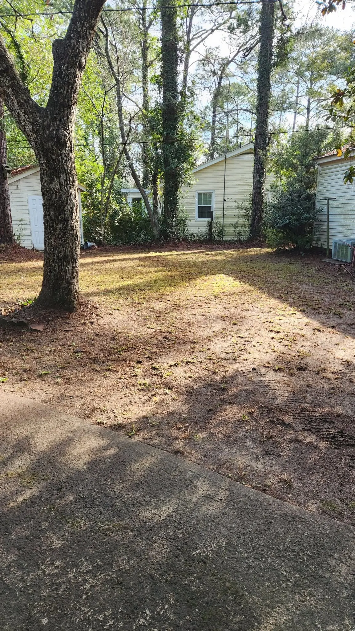 LPZ Pro lawn care and landscaping work in the Albany area